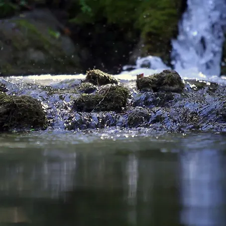 Convento Di Acqua Premula 3*